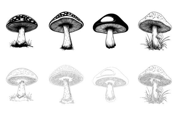 Bring Your Projects to Life with the Mushroom Doodle Set