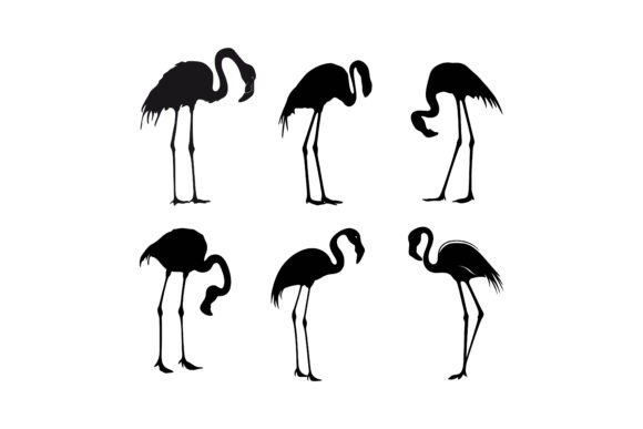 Choosing Vector Assets: The Distinct Appeal of Flamingo Silhouettes Set Black Vector