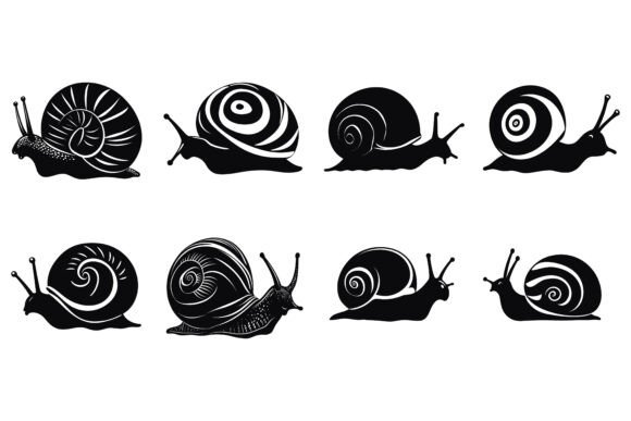 Evaluating The Set Silhouettes of Wild Snails: A Distinctive Vector Illustration Collection