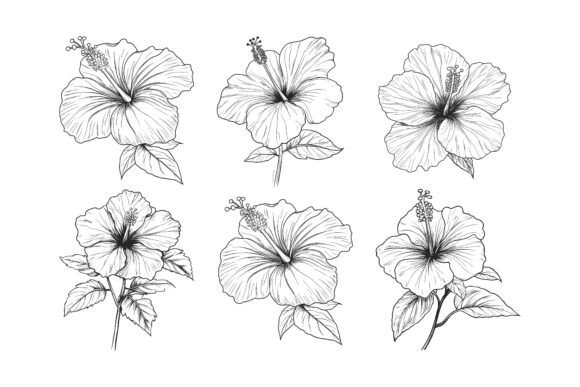 Flower Set Doodle Vector Art for Professional Creative Projects
