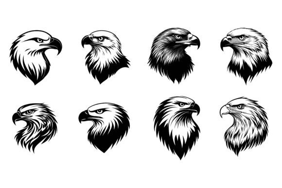 Graceful Eagle Logo Design: A Vector Illustration Collection