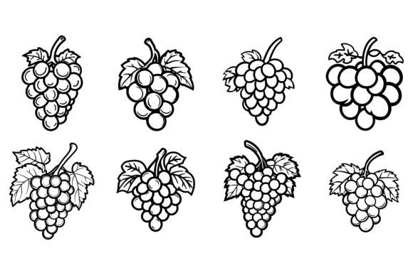Professional Grapes Illustration Icon Set
