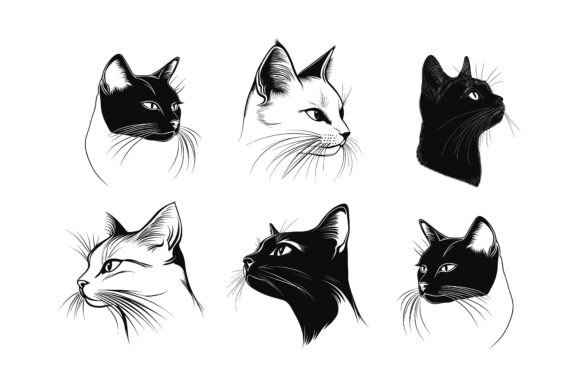 The Ultimate Design Asset: Why This Cats Vector Collection Changes Everything